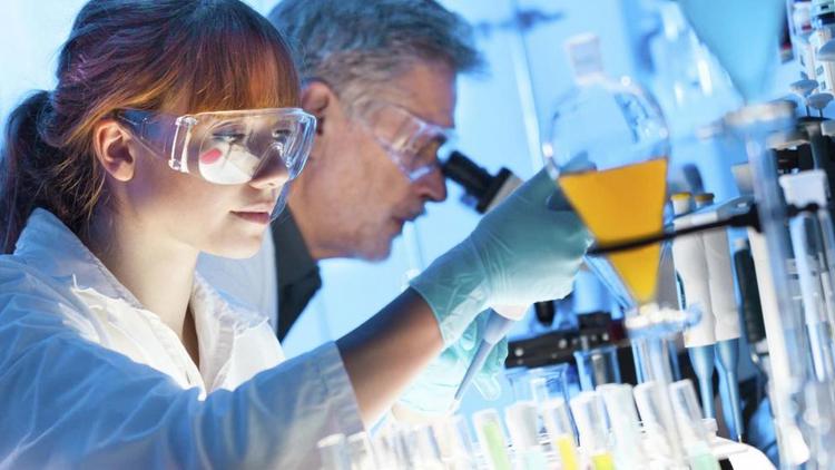 Ставропольские учёные создают вещества для борьбы с раковыми заболеваниями