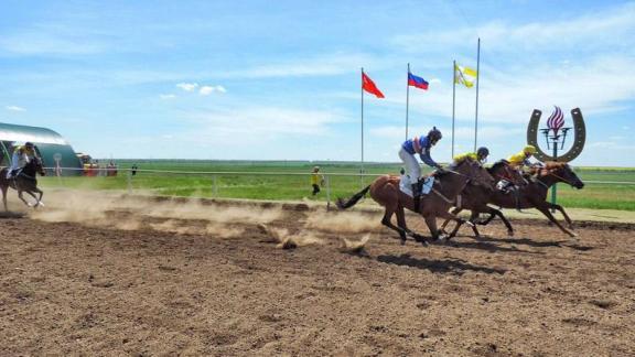 Конноспортивные соревнования прошли в селе Новоселицком на Ставрополье