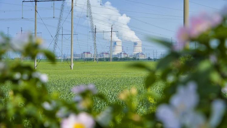 10 млрд кВт.ч электроэнергии выработала Ростовская АЭС с начала года