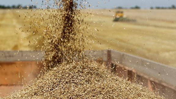В Ставропольском крае установили объём квоты на экспорт зерна