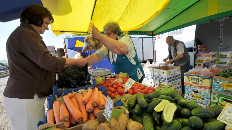На Ставрополье открылся крупнейший на юге России продовольственный рынок