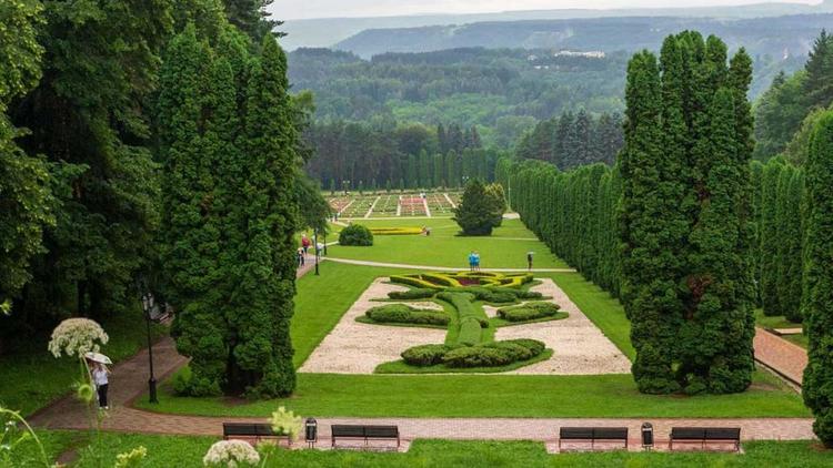 В Кисловодске посадят одно из самых быстрорастущих растений в мире