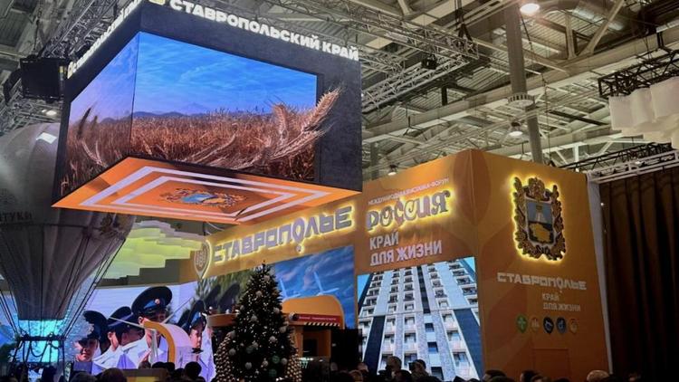 Более 50 тысяч человек стали гостями Дня Ставрополья на выставке «Россия» в Москве