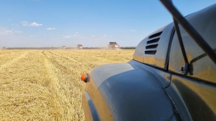 Аграрии Предгорного округа Ставрополья приступили к уборке зерновых