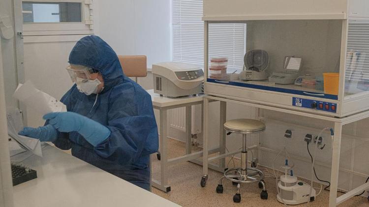 Свыше 6 тысяч тестирований на COVID-19 выполняется на Ставрополье ежедневно