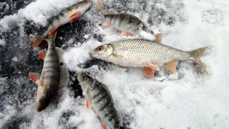 Ставропольским рыбакам напоминают о правилах безопасности на водоёмах