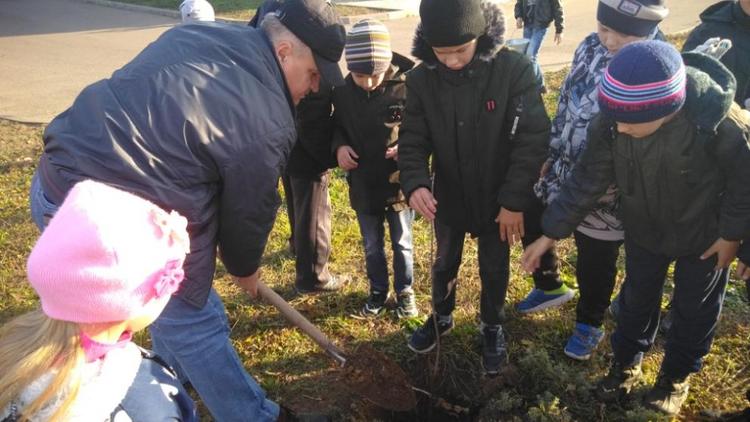 В Ипатовском округе началась экологическая акция «Дерево Победы»