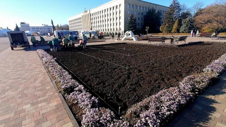Более 200 тысяч цветов в Ставрополе проведут зиму в грунте