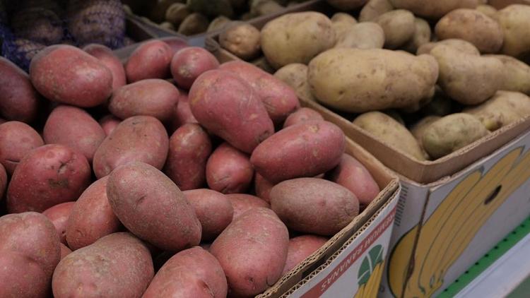 Большой выбор картофеля будет представлен в Ставрополе на ярмарках выходного дня