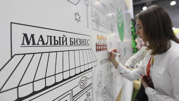 Ставропольские предприниматели могут дополнить своими идеями нацпроект по поддержке бизнеса