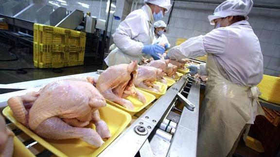 Ставрополье в пять раз нарастило экспорт мяса птицы в Грузию