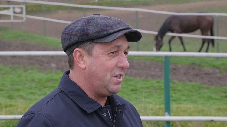 Сельхозпредприятие Новоселицкого округа разводит чистокровных английских скакунов