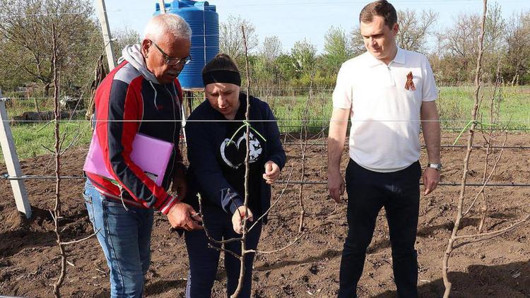 В Новоселицком округе высадили 9 суперинтенсивных яблоневых садов