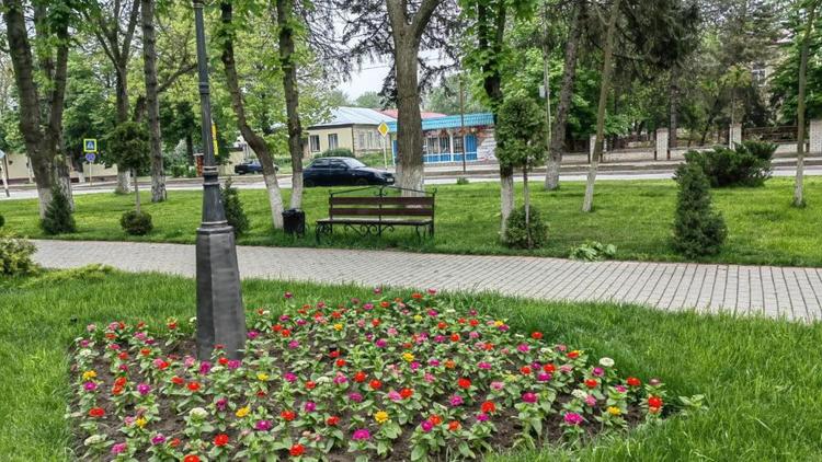 В Курском округе Ставрополья к 9 мая высадят 9 тысяч цветов