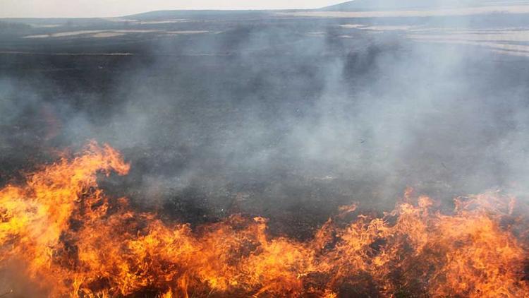 На Ставрополье зафиксировали 20 ландшафтных пожаров
