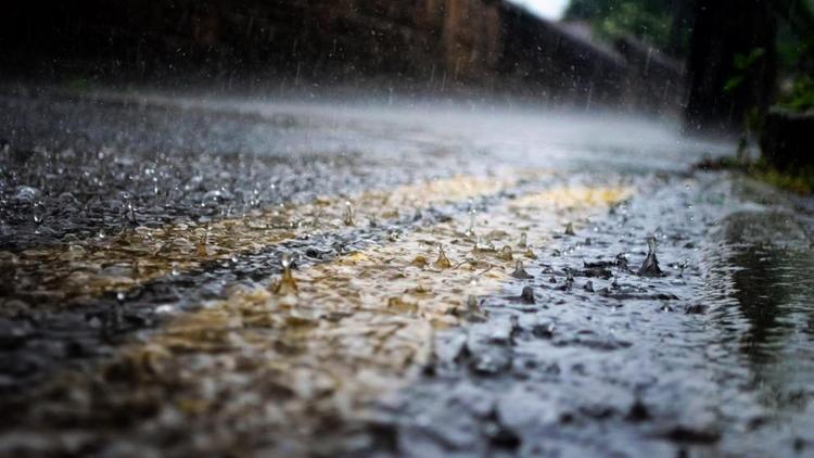Сильный дождь прогнозируют синоптики на Ставрополье 11 и 12 июля