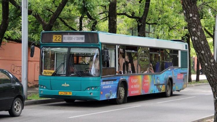 225 нарушений нашли госавтинспекторы во время операции «Автобус»