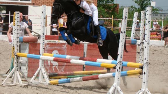 Чемпионат и первенство по конному спорту состоялись в Ставрополе