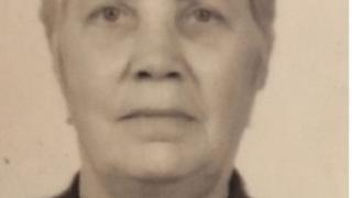 79-летнюю пропавшую женщину ищут в Ипатовском округе