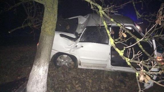 Нетрезвый автолюбитель в Буденновском районе врезался в дерево