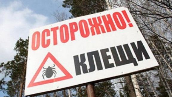 Около 3 тысяч жителей Ставрополья пострадали от укусов клещей, 8 человек заболели