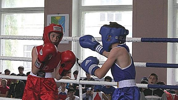 70 юных спортсменов сразились на первенстве села Кочубеевского по боксу