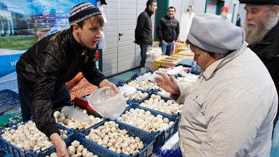12 человек на Ставрополье в этом году отравились грибами. Как этого избежать
