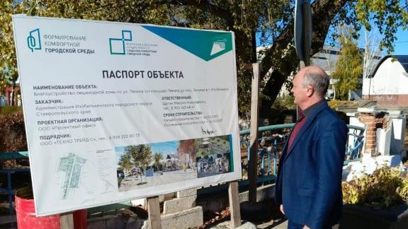 На Ставрополье партдесант проверил ход обустройства пешеходной зоны