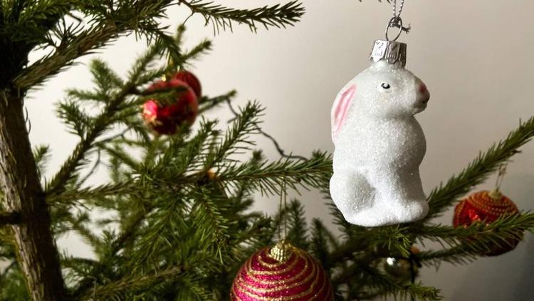 В Пятигорске увеличили количество новогодних мероприятий для детей