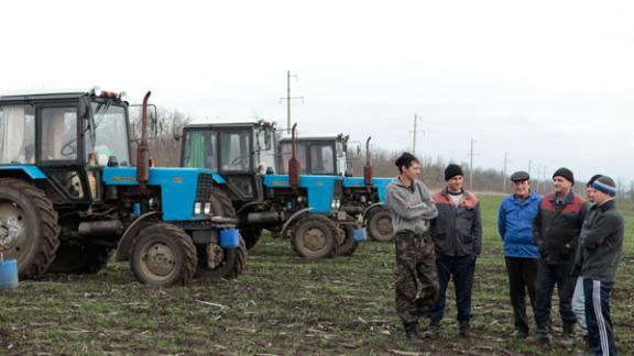На Ставрополье началось массовое переоформление договоров аренды сельхозземель