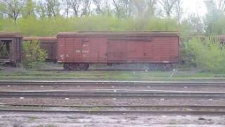 25 бесхозных вагонов нашли на железнодорожной станции в Минводах