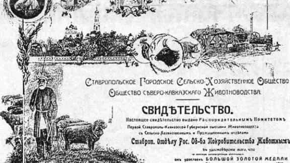 Чем занималось общество покровительства животным в губернском Ставрополе