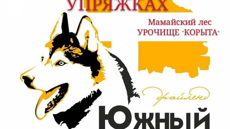 2 и 3 ноября в Ставрополе пройдут гонки на собачьих упряжках