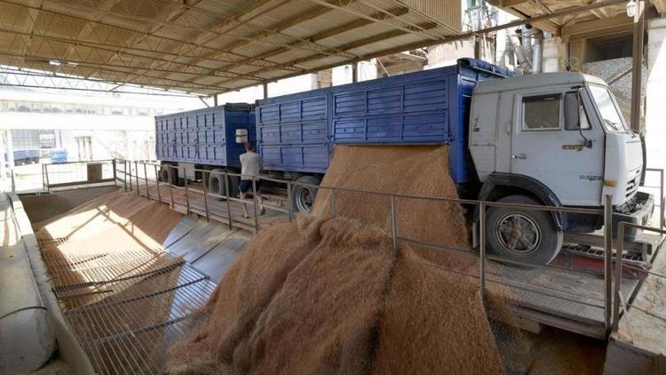 В Арзгирском районе собрали первые 100 тысяч тонн зерна