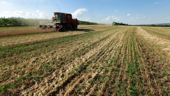 Новоалександровский район намолотил 200 тысяч тонн зерна