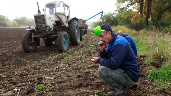 Губернатор Ставрополья: Темпы финансовой поддержки сельхозпроизводителей края должны быть ускорены