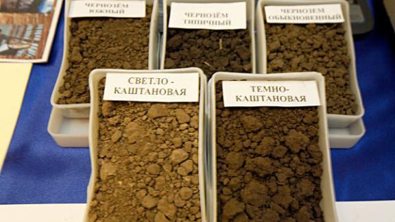 Превышение токсичных элементов обнаружено в 11 образцах ставропольской почвы