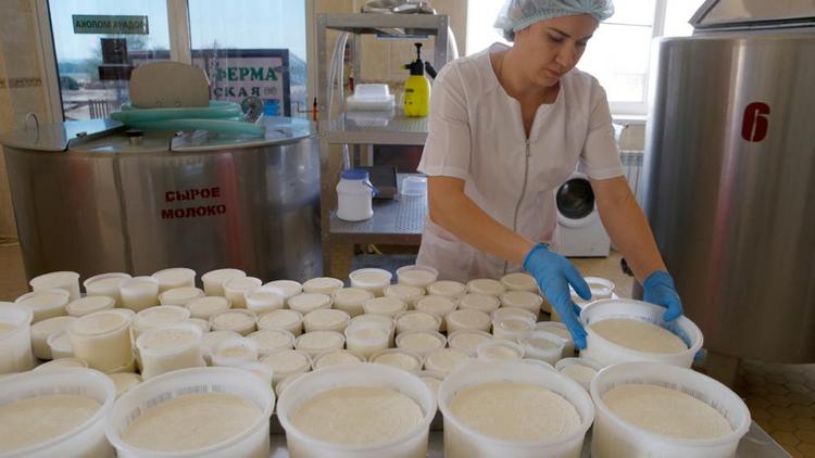 Ставрополье по производству сыра вошло в пятерку лучших регионов страны