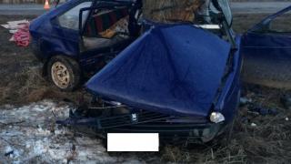 В Арзгирском районе в результате наезда на дерево погибли два человека