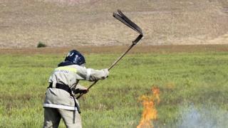 Случаев сжигания стерни в Ставропольском крае не выявлено
