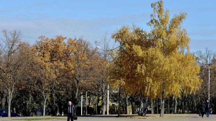 Тёплая погода продержится на Ставрополье всю неделю