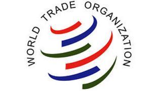 Агробизнес с учетом ВТО обсудили на форуме сельской молодежи