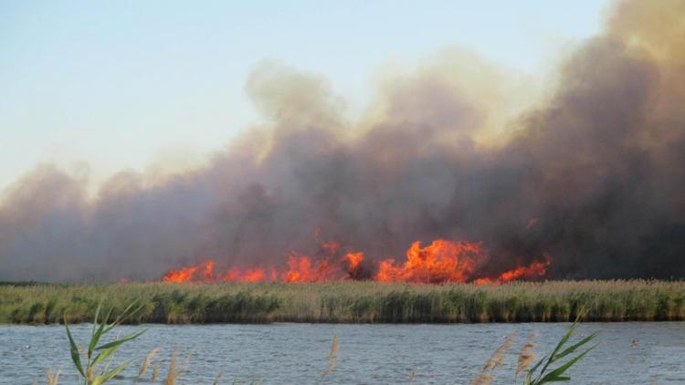 Горит трава в разных районах Ставрополья - пожарные борются с огнём