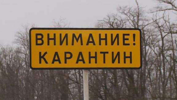 На Ставрополье владельцам отчуждённого из-за вспышки АЧС поголовья выплатят компенсации