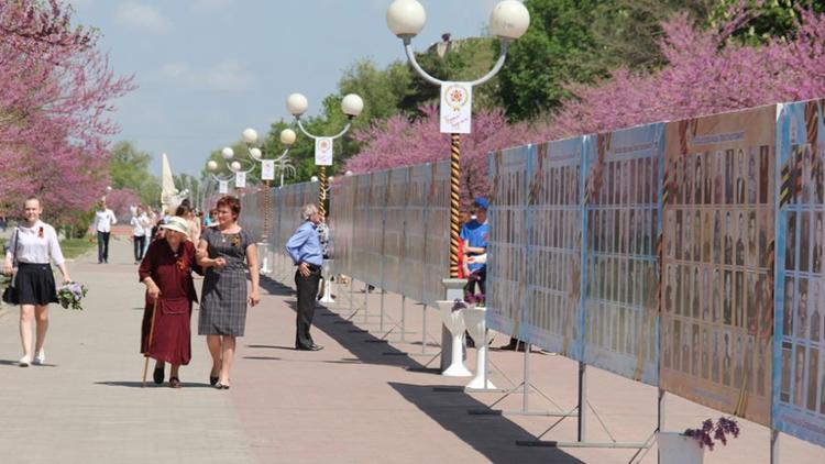 Более 2,5 тысяч фотографий ветеранов разместили в Невинномысске на Стене памяти