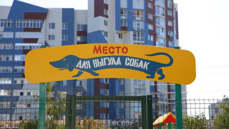 В Ставрополе почти готова первая площадка для выгула собак