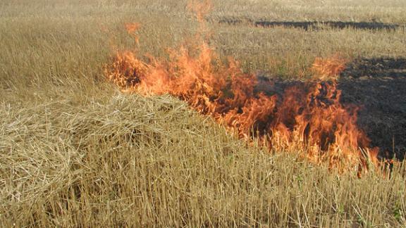 МЧС: на Ставрополье высока вероятность ландшафтных и лесных пожаров