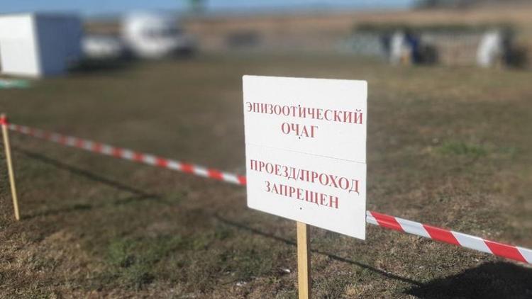 В Новоалександровском округе прошли межрегиональные учения по отработке «легенды» очага оспы овец