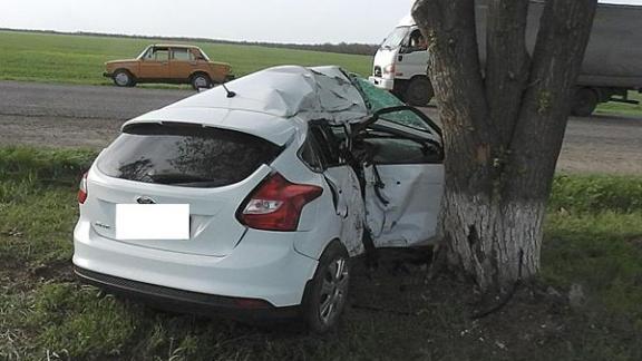Водитель иномарки погиб, врезавшись в дерево в Грачевском районе