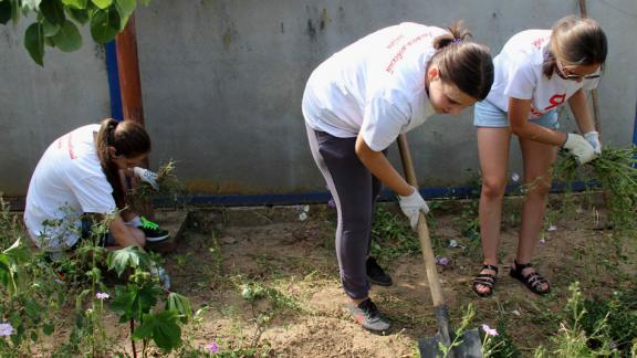 В Апанасенковском районе молодые люди помогли пенсионерам в уходе за огородом